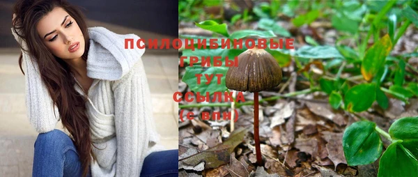 не бодяженный Абинск
