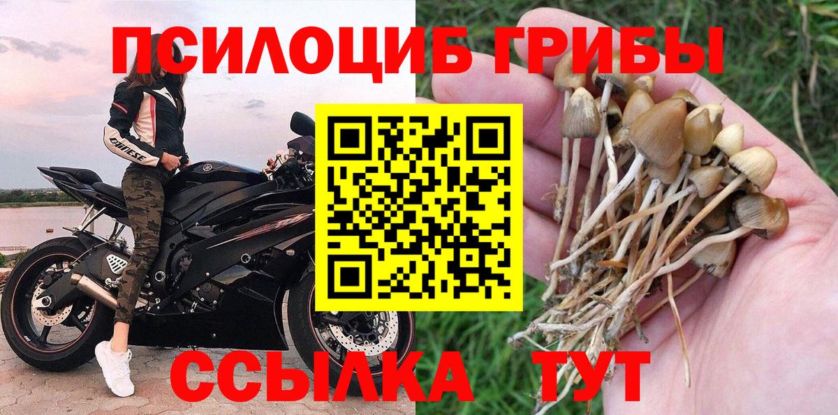 APVP СК кристаллы  Гашиш  Наркошоп  МЕФ   Марихуана  Нефтекамск  ГАШ  Cocaine  Вход с VPN 