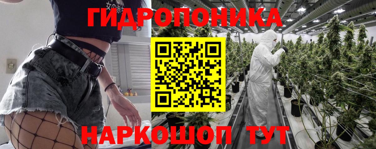 Конопля тримм  Шишки марихуана Bruce Banner  Шишки марихуана индика  Нефтекамск  Вход с VPN 